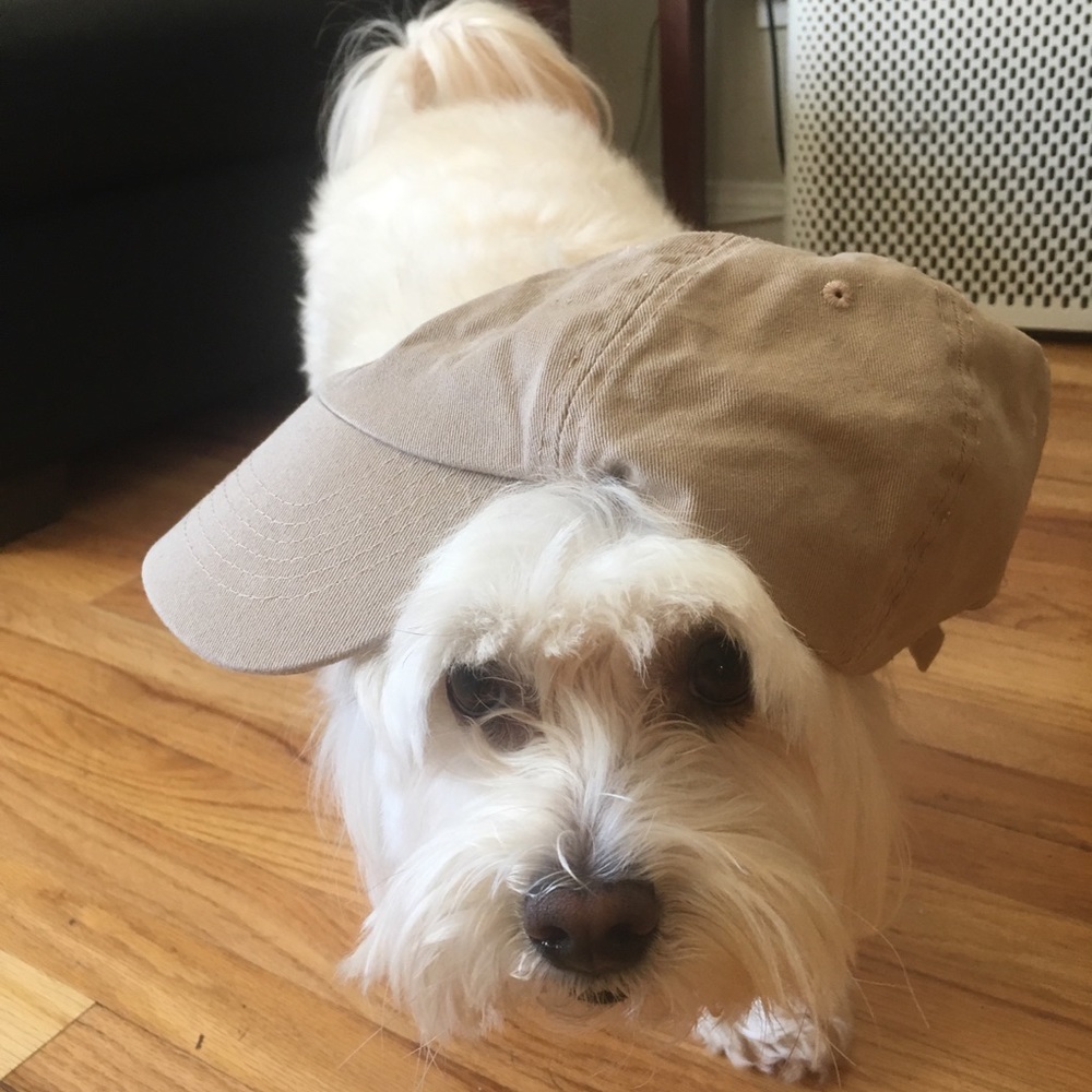 Tan Hat